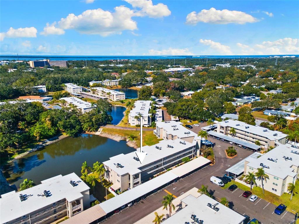 948 Virginia Street, Unit 101 Dunedin, FL 34698 - Photo 31 of 31