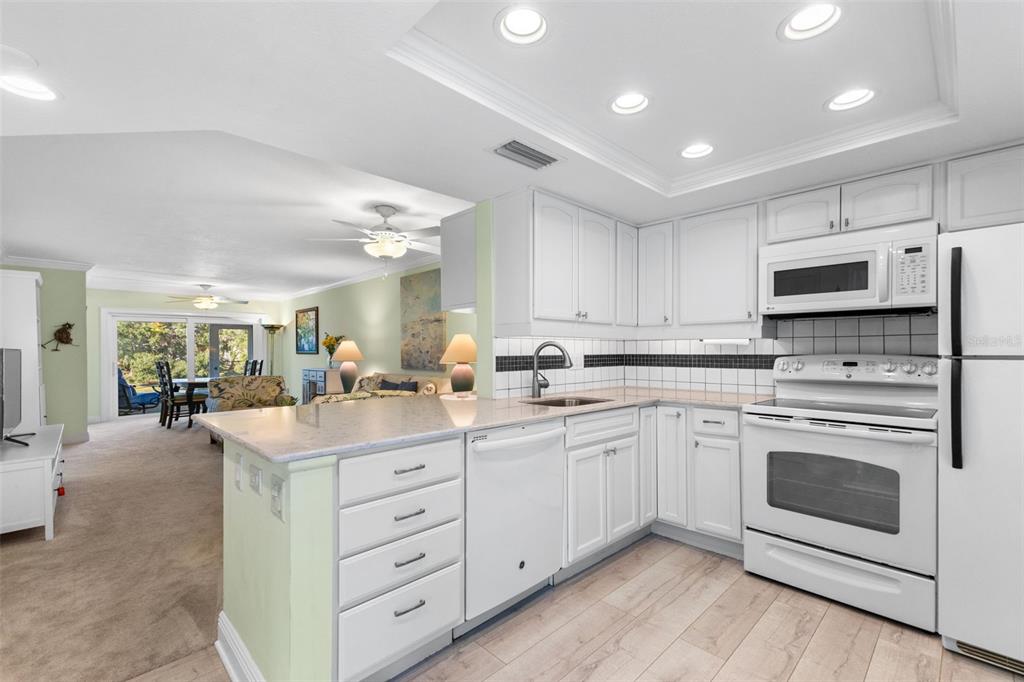 948 Virginia Street, Unit 101 Dunedin, FL 34698 - Photo 7 of 31