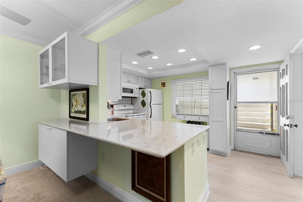 948 Virginia Street, Unit 101 Dunedin, FL 34698 - Photo 8 of 31