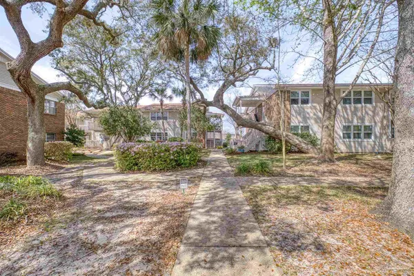 a view of a yard with plants and a tree