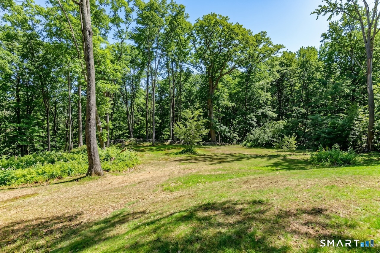 9 Old Paddock Lane Kent, CT 06785 - Photo 28 of 28 a view of a yard with a tree