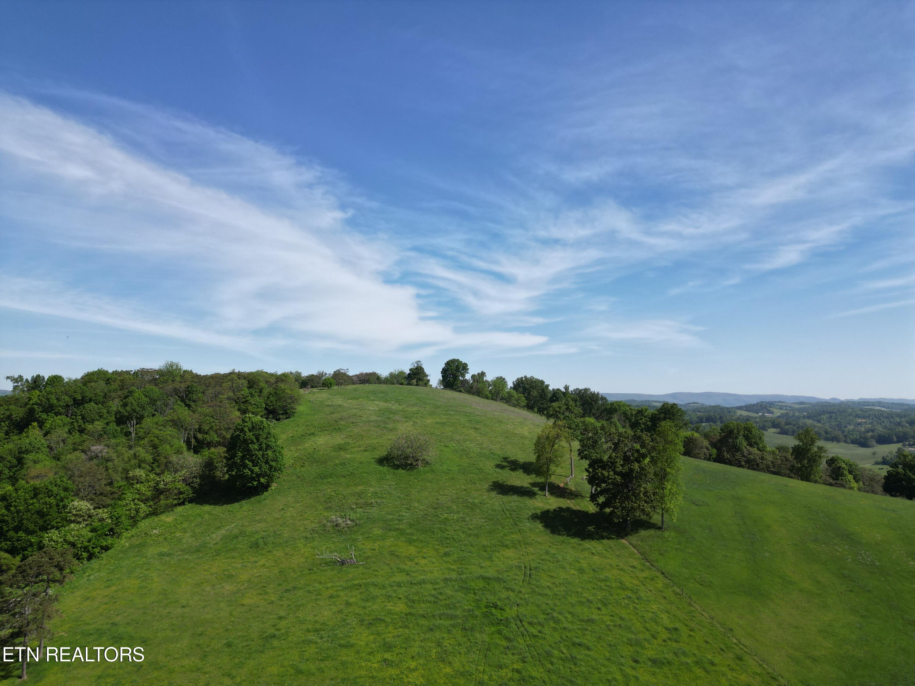 16 Buffalo Springs Road Rutledge, TN 37861 - Photo 1 of 6 16-1