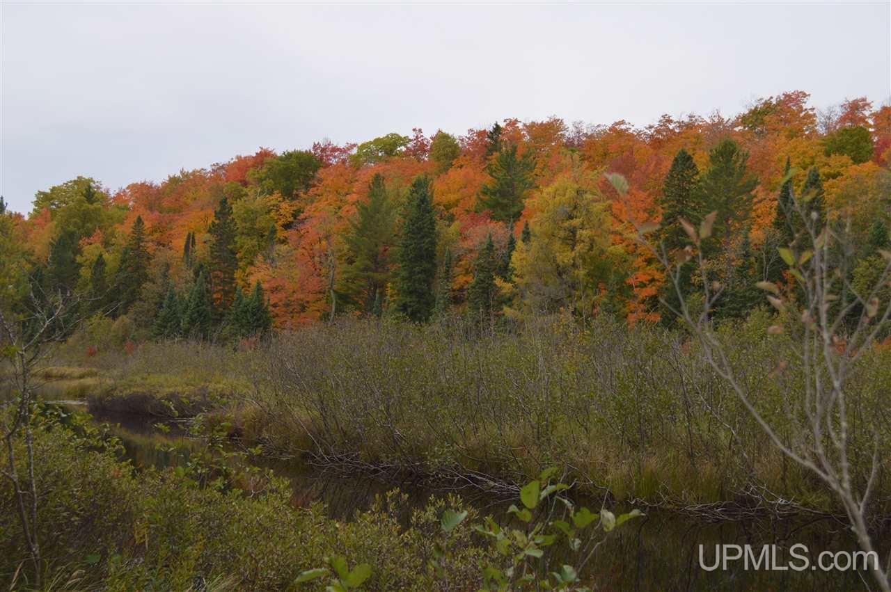 Tbd Peshekee Grade Road Skanee, MI 49962 - Photo 29 of 35