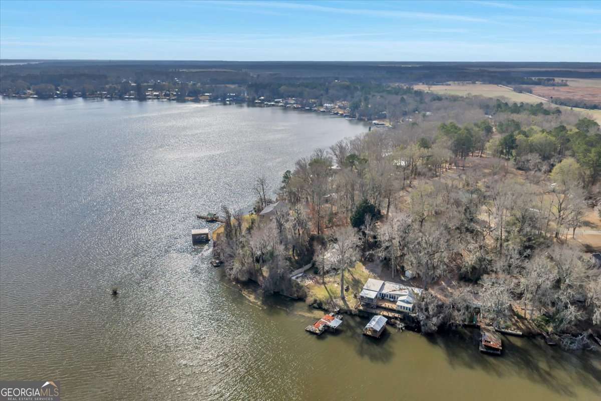 508 North Spring Creek Circle Cobb, GA 31735 - Photo 47 of 61