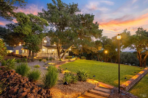 a view of a yard with an tree