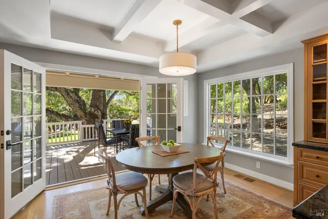 a view of a yard with plants and large trees