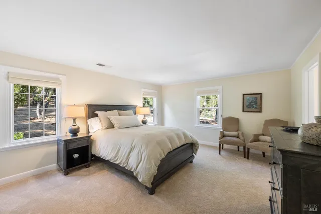 a view of a yard with plants and trees