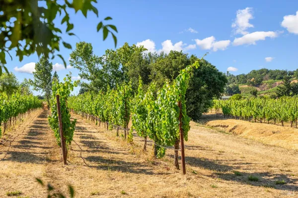 $3,975,000 | 14347 Highway 12, Glen Ellen, CA 95442