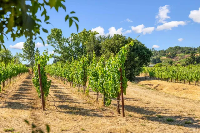 $3,975,000 | 14347 Highway 12, Glen Ellen, CA 95442