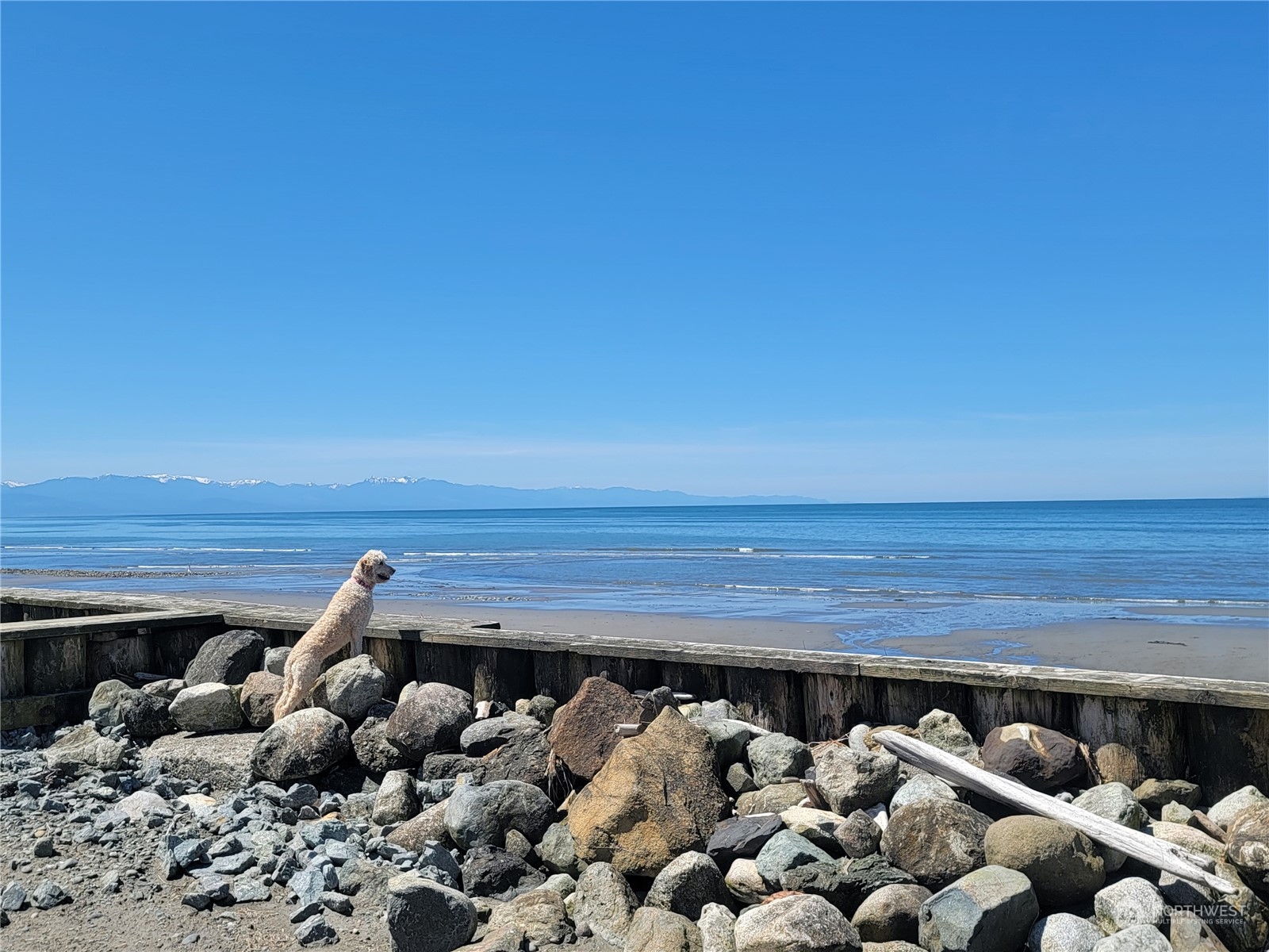 2519 West Beach Road Oak Harbor, WA 98277 - Photo 1 of 6 Gallery Image 1