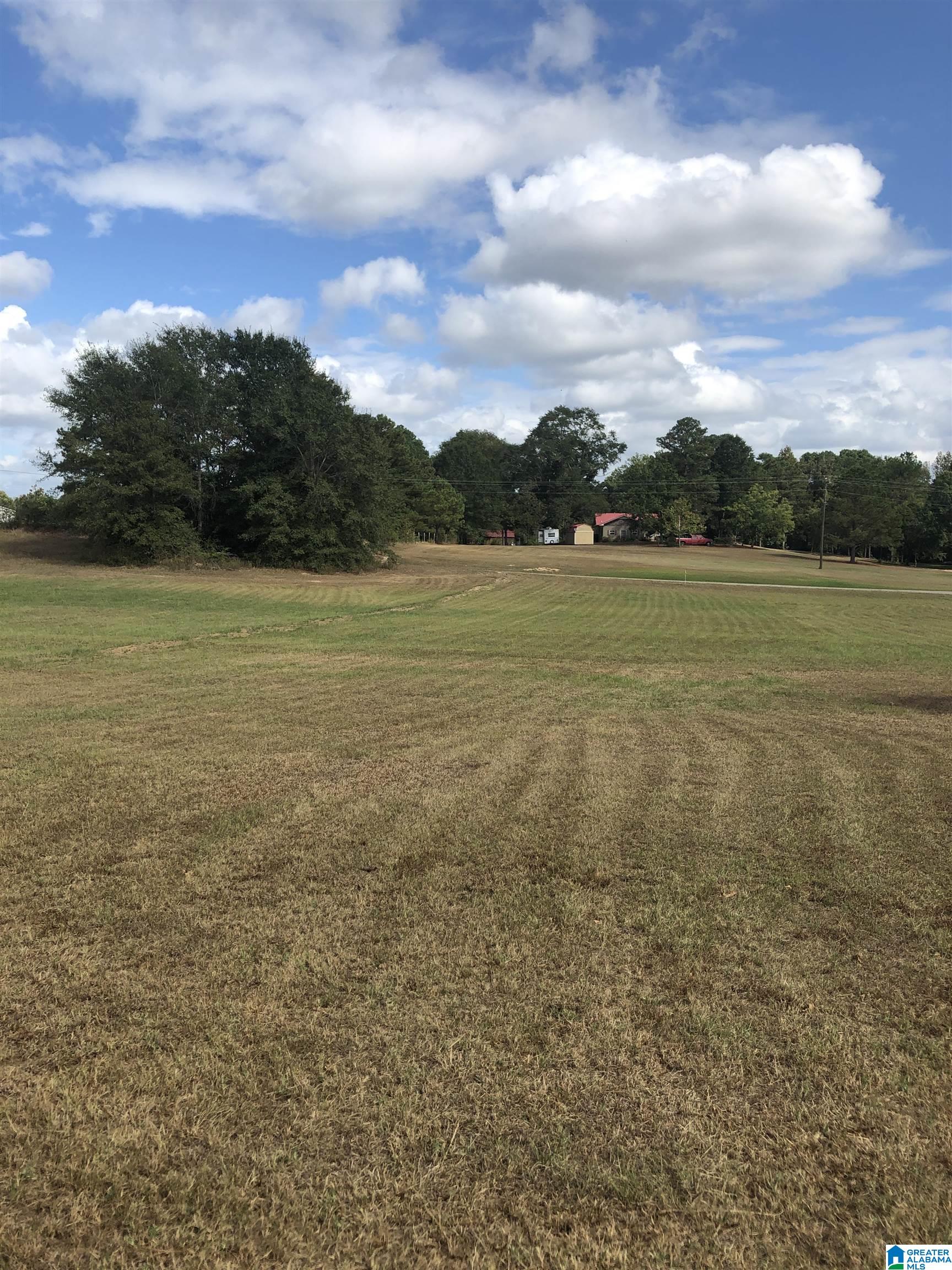 13606 County Road 37 Clanton, AL 35045 - Photo 10 of 22