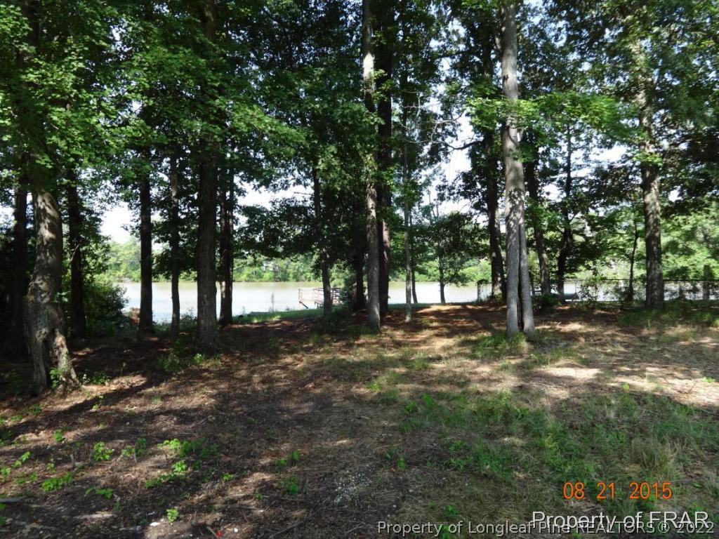 414 Lansdowne Road Fayetteville, NC 28314 - Photo 13 of 14 a view of backyard with trees
