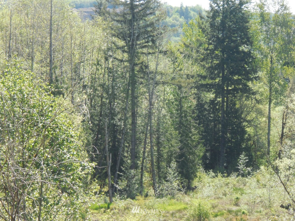 2021 South Toutle Road Toutle, WA 98649 - Photo 1 of 5 Gallery Image 1