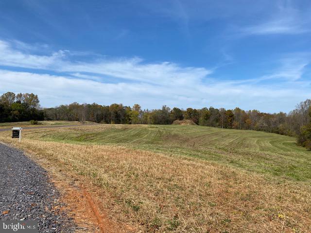 Lot 10 Mountain Ridge Way Culpeper, VA 22701 - Photo 2 of 4 Super nice lot, backs to trees