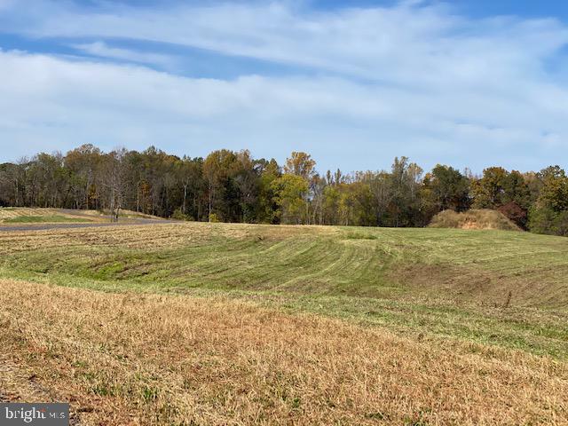 Lot 10 Mountain Ridge Way Culpeper, VA 22701 - Photo 3 of 4 Beautiful house site