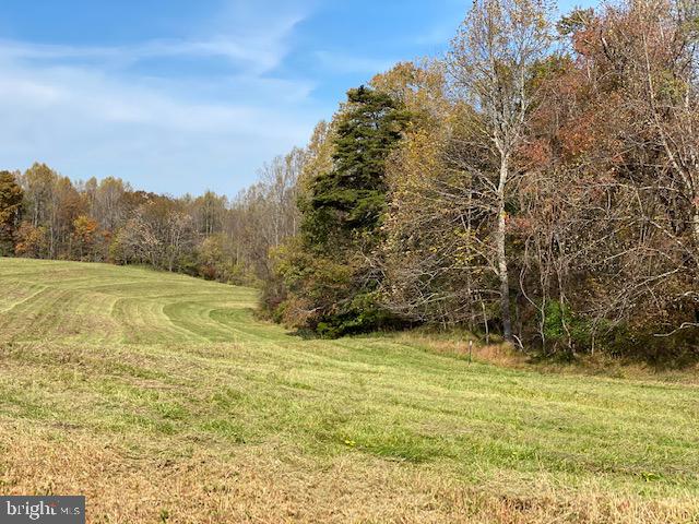 Lot 10 Mountain Ridge Way Culpeper, VA 22701 - Photo 4 of 4 looking at Drain field location