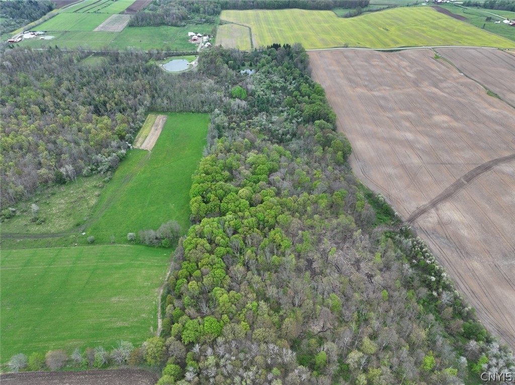 Youngs Road Conewango Valley, NY 14726 - Photo 3 of 32 Gallery Image 3