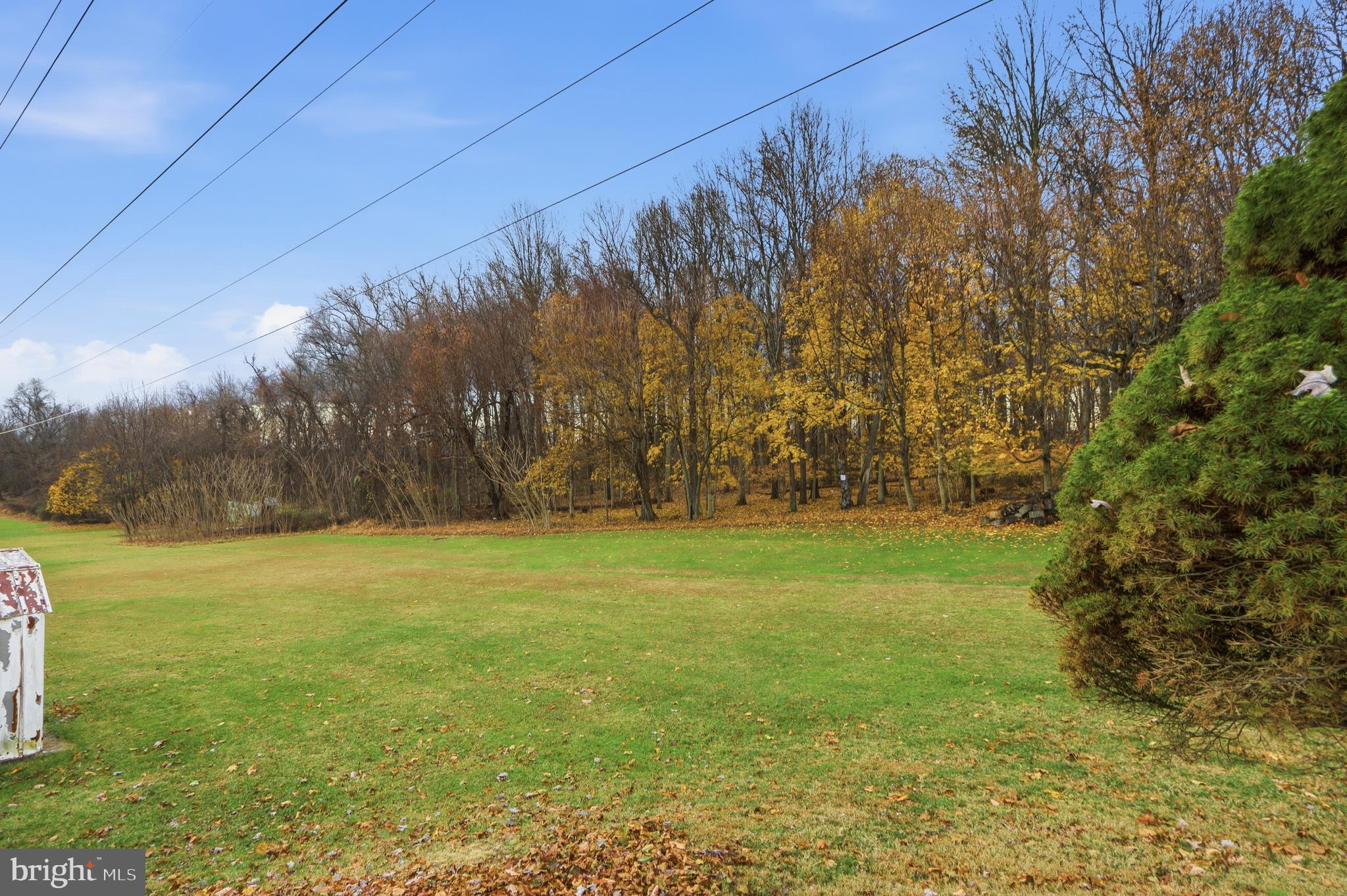 153 Wilgate Road Owings Mills, MD 21117 - Photo 22 of 22 a view of yard with green space