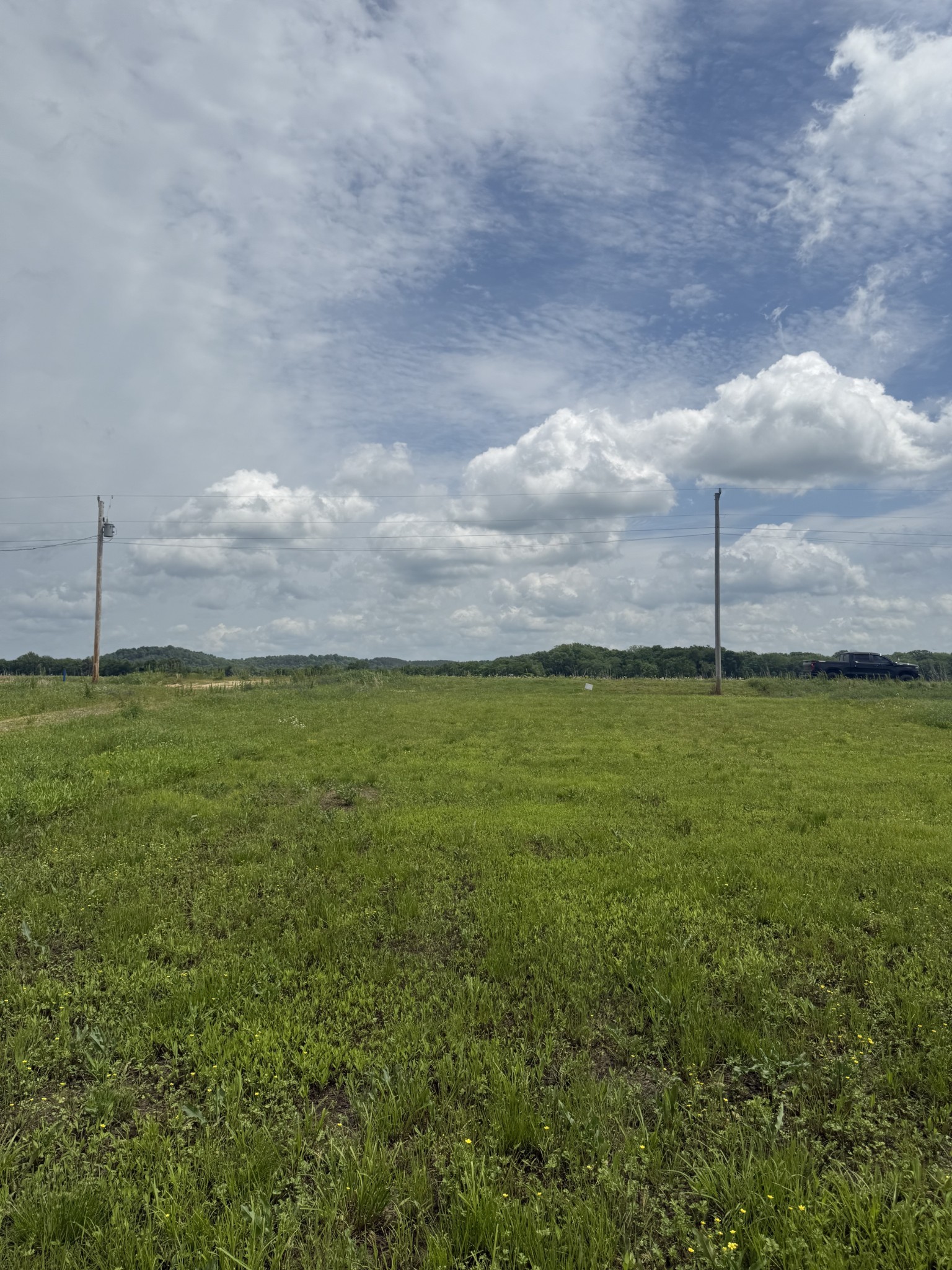 167 Hardin Bottom River Road Clifton, TN 38425 - Photo 11 of 26