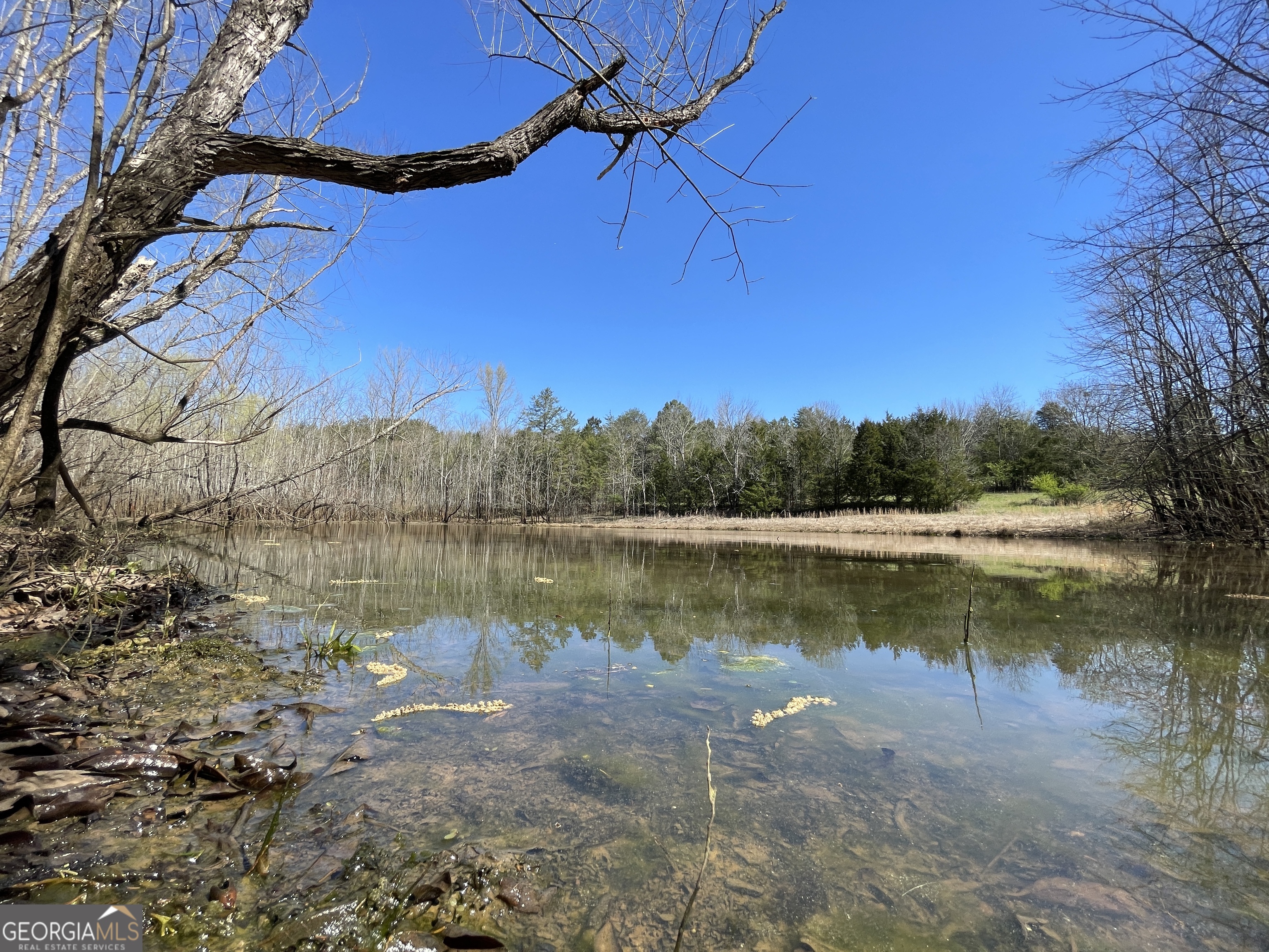 0 Forester Rising Fawn, GA 30738 - Photo 1 of 1 a view of a lake with a yard