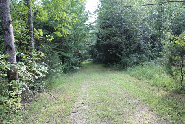 3-4 Wilkerson Road Lucas, KY 42156 - Photo 5 of 19 Gallery Image 5
