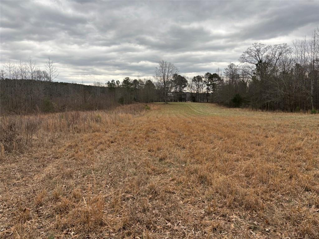 850 Bethel Church Road Southeast Silver Creek, GA 30173 - Photo 101 of 106