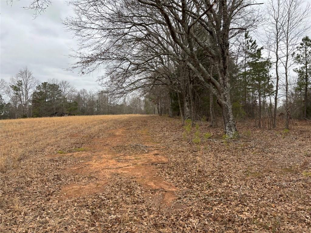 850 Bethel Church Road Southeast Silver Creek, GA 30173 - Photo 102 of 106