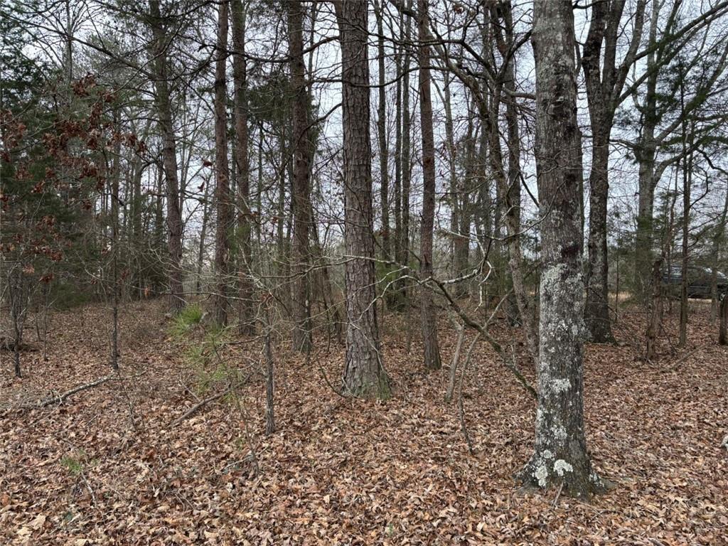 850 Bethel Church Road Southeast Silver Creek, GA 30173 - Photo 103 of 106 a view of a yard with large trees