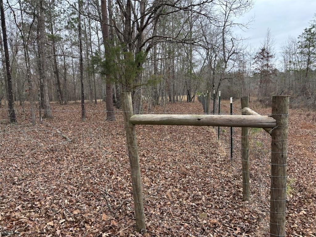 850 Bethel Church Road Southeast Silver Creek, GA 30173 - Photo 104 of 106