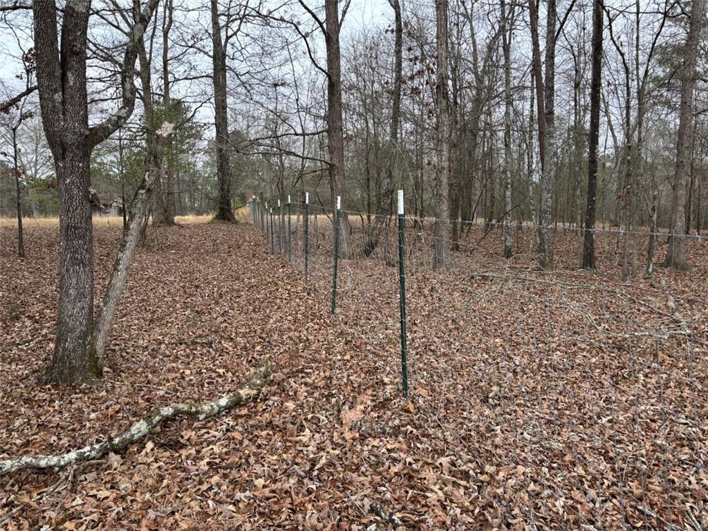 850 Bethel Church Road Southeast Silver Creek, GA 30173 - Photo 105 of 106 a view of a forest filled with trees
