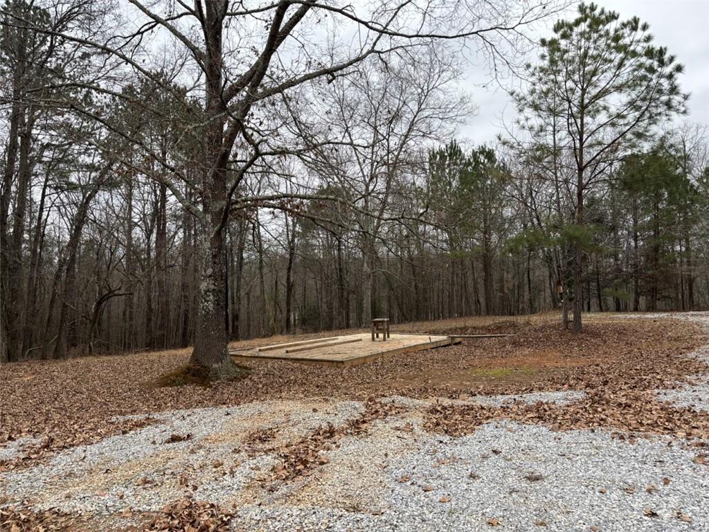 850 Bethel Church Road Southeast Silver Creek, GA 30173 - Photo 106 of 106 a backyard of a house with lots of trees