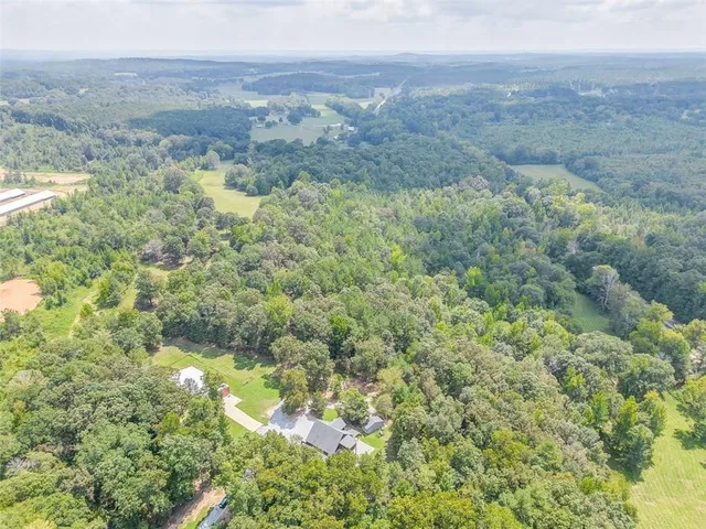 a view of a forest with an outdoor space