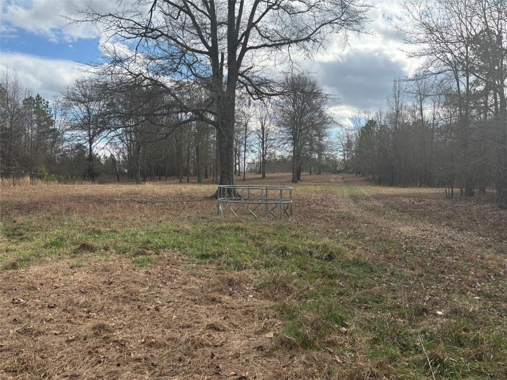 850 Bethel Church Road Southeast Silver Creek, GA 30173 - Photo 54 of 106