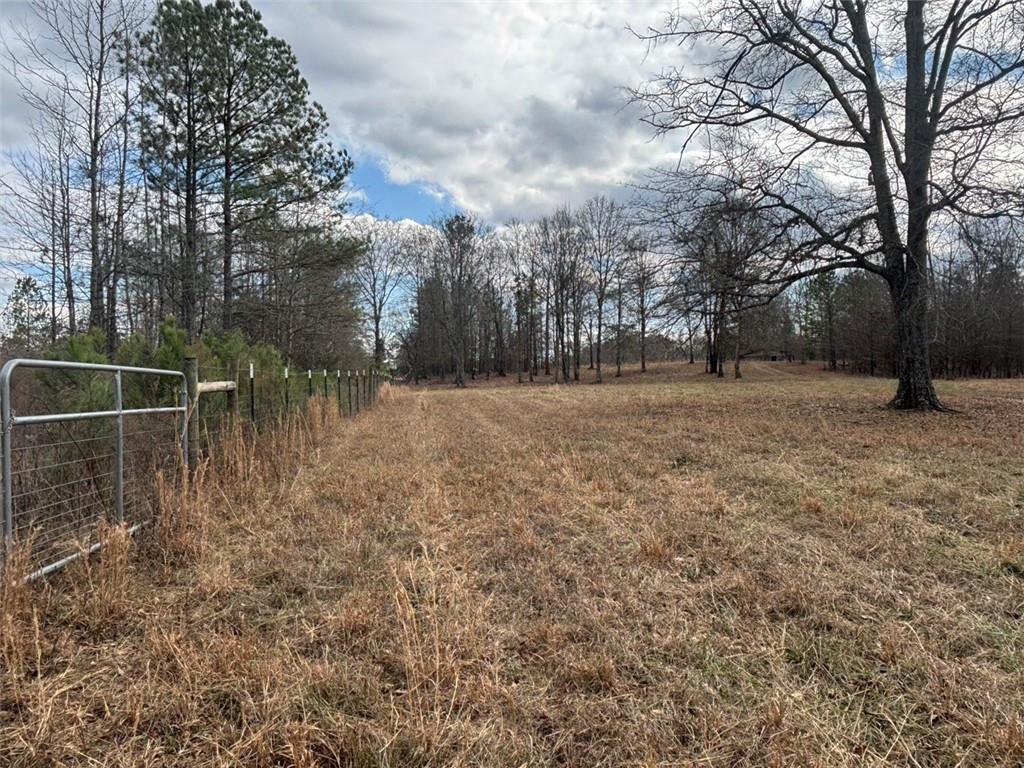 850 Bethel Church Road Southeast Silver Creek, GA 30173 - Photo 56 of 106 a backyard of a house with lots of green space