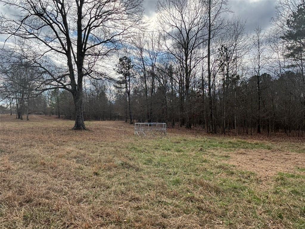 850 Bethel Church Road Southeast Silver Creek, GA 30173 - Photo 57 of 106 a backyard of a house with lots of green space