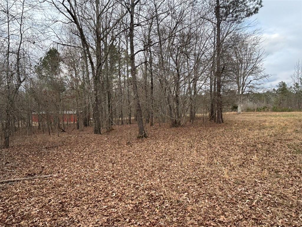 850 Bethel Church Road Southeast Silver Creek, GA 30173 - Photo 58 of 106 a backyard of a house with lots of green space