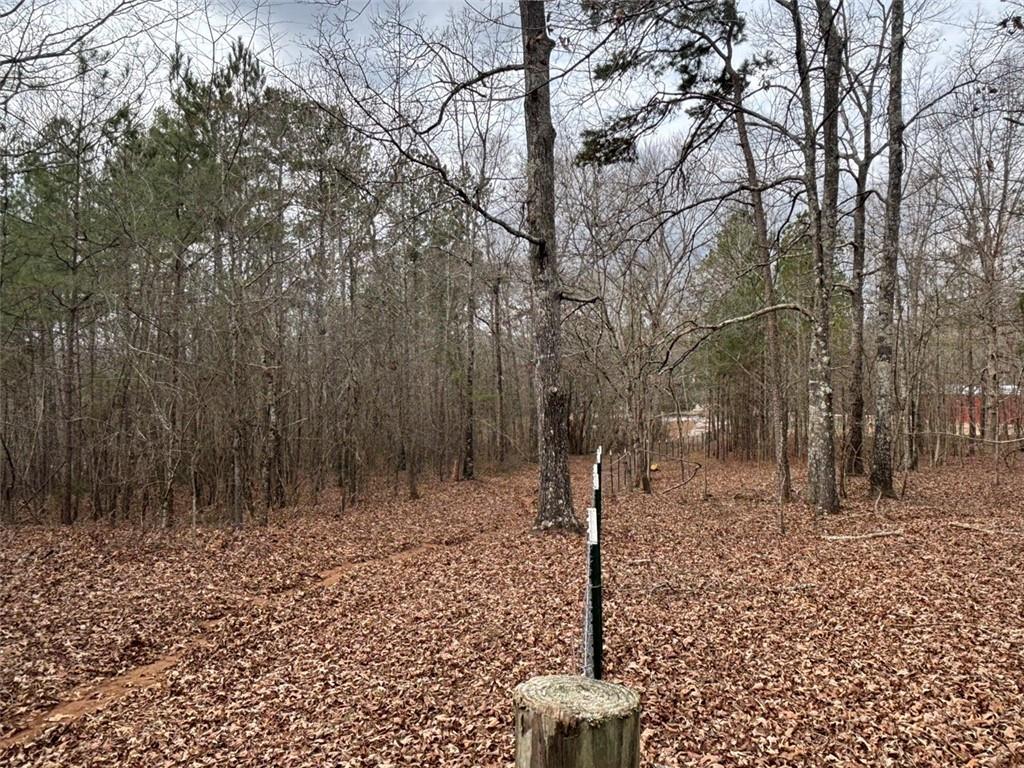 850 Bethel Church Road Southeast Silver Creek, GA 30173 - Photo 60 of 106 a backyard of a house with lots of green space