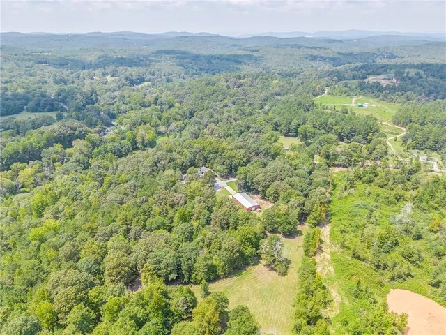 a view of a forest with a street
