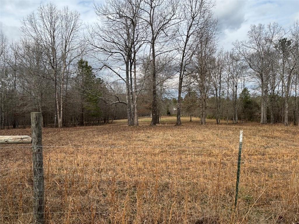 850 Bethel Church Road Southeast Silver Creek, GA 30173 - Photo 62 of 106 a backyard of a house with lots of tall trees