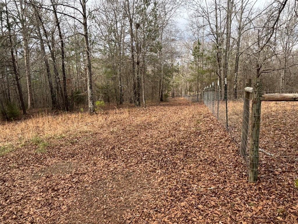 850 Bethel Church Road Southeast Silver Creek, GA 30173 - Photo 64 of 106 a backyard of a house with lots of green space