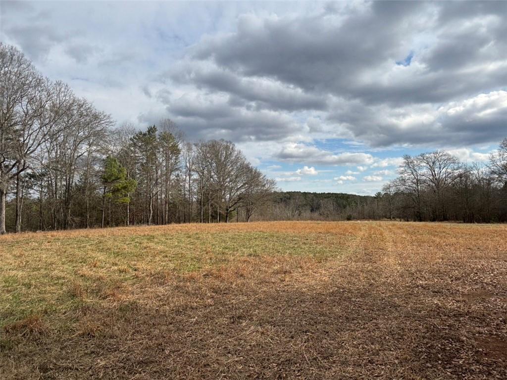 850 Bethel Church Road Southeast Silver Creek, GA 30173 - Photo 66 of 106