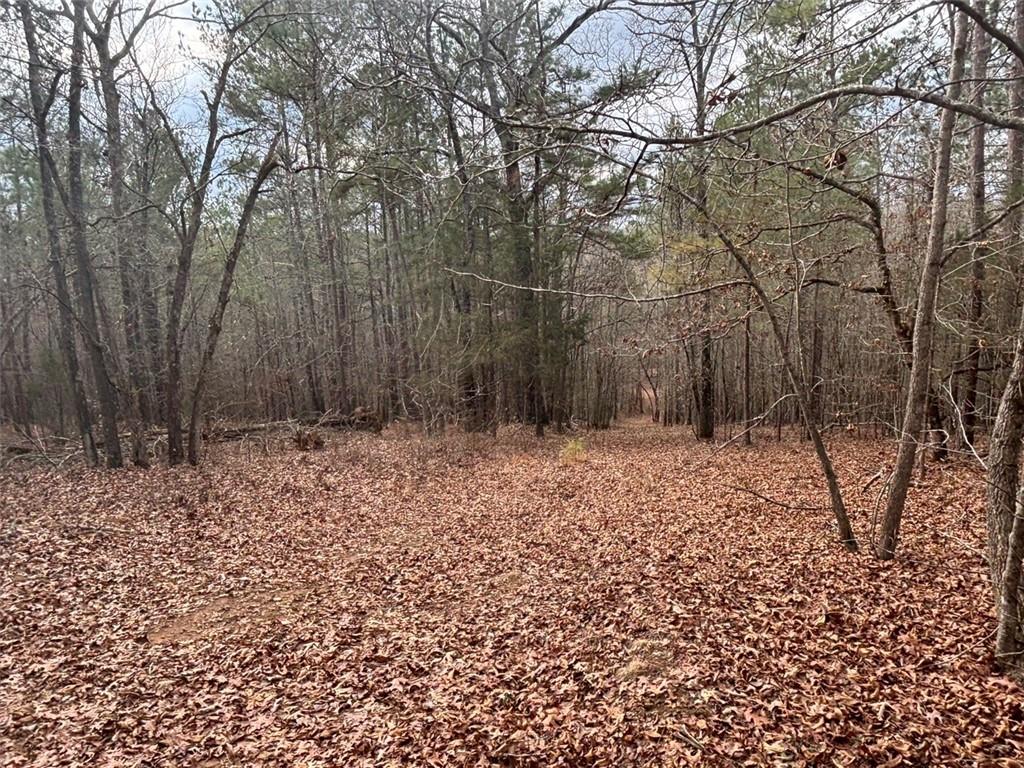 850 Bethel Church Road Southeast Silver Creek, GA 30173 - Photo 68 of 106