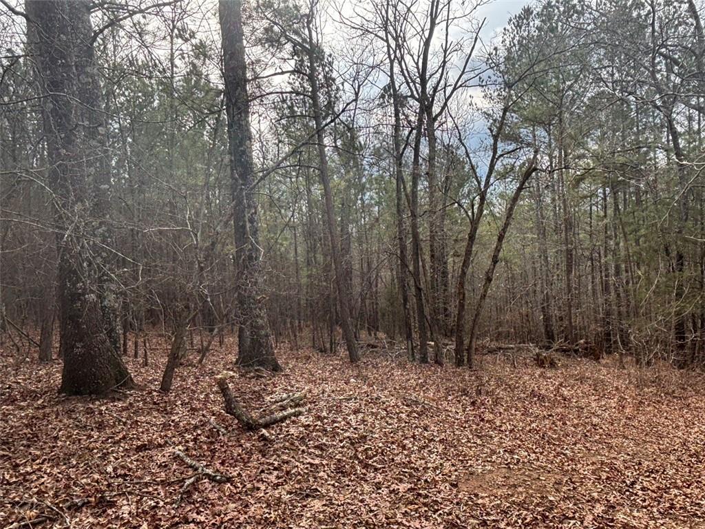 850 Bethel Church Road Southeast Silver Creek, GA 30173 - Photo 69 of 106