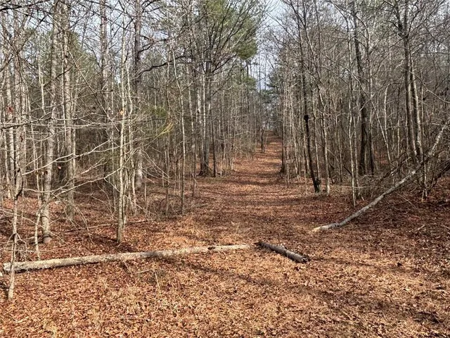 $995,000 | 850 Bethel Church Road Southeast, Silver Creek, GA 30173