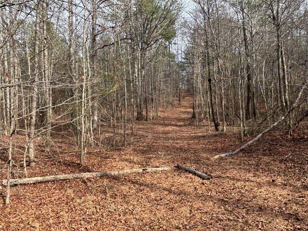 850 Bethel Church Road Southeast Silver Creek, GA 30173 - Photo 70 of 106 a backyard of a house with lots of green space