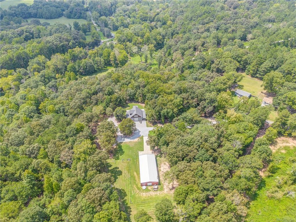 850 Bethel Church Road Southeast Silver Creek, GA 30173 - Photo 7 of 52 a view of a forest with a street