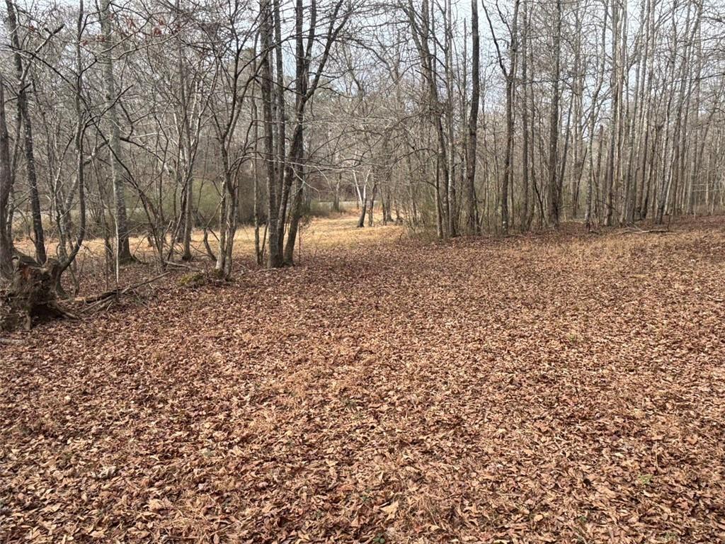 850 Bethel Church Road Southeast Silver Creek, GA 30173 - Photo 71 of 106