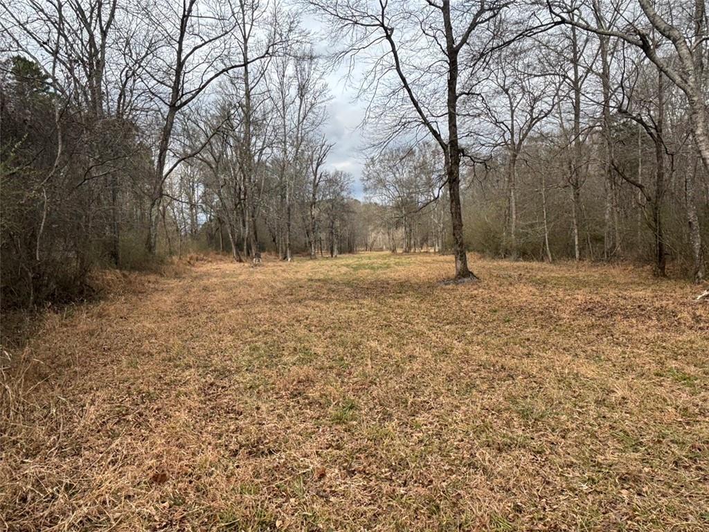 850 Bethel Church Road Southeast Silver Creek, GA 30173 - Photo 72 of 106 a fire hydrant in the middle of a field