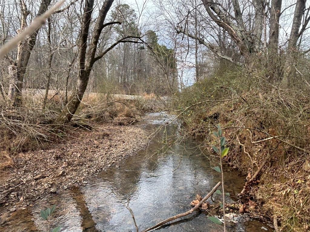 850 Bethel Church Road Southeast Silver Creek, GA 30173 - Photo 74 of 106