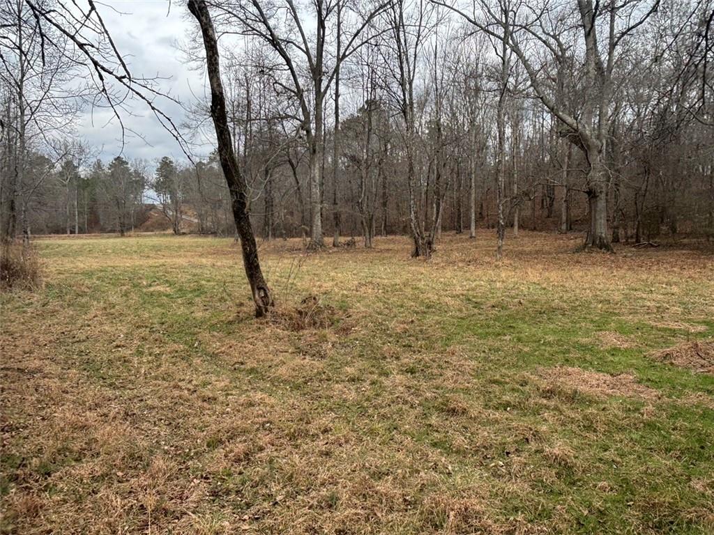 850 Bethel Church Road Southeast Silver Creek, GA 30173 - Photo 76 of 106